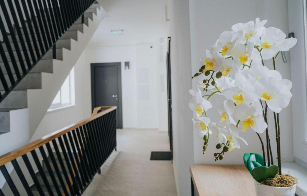 Charlotte Piata Unirii - Free Private Parking 2Bedrooms Apartment Oradea Exterior foto